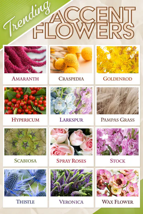 Trending Accent Flowers: Amaranth, Craspedia, Goldenrod, Hypericum, Larkspur, Pampas Grass, Scabiosa, Spray Roses, Stock, Thistile, Veronica and Wax Flowers