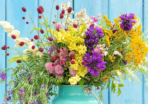 A vibrant bouquet of assorted colorful flowers situated in a teal pitcher against a bright blue wooden background.