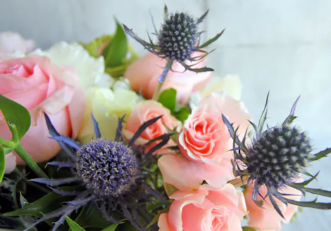 Three thistles mingle with pink and white roses