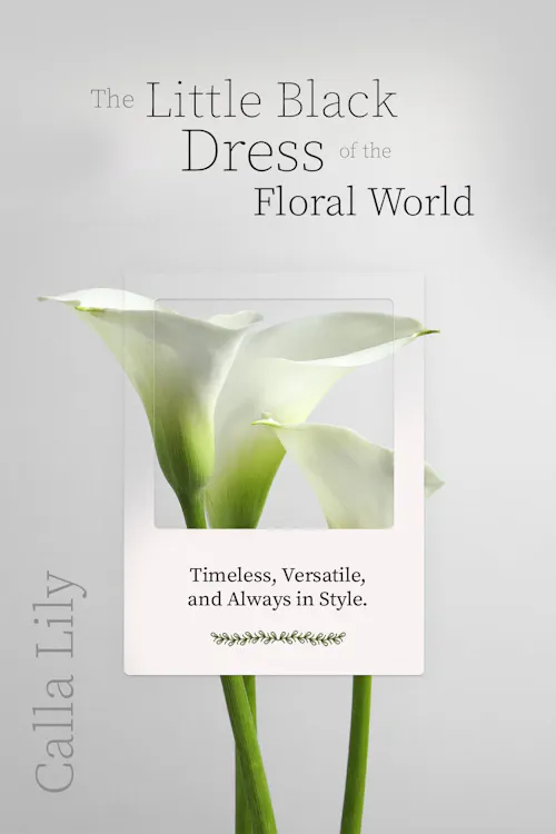 The Little Black Dress of the Floral World