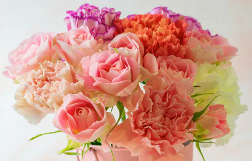 A bouquet of vibrant pink, orange, purple, and white/yellow flowers arranged in a pastel-colored vase against a soft, light-colored background.