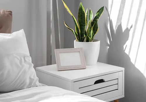 A potted snake plant and an empty picture frame rest on a white bedside table with drawers beside a bed with white linens in a brightly lit room.