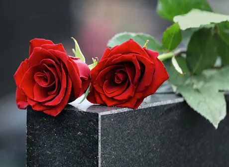 Two red roses rest on a dark stone grave, with their stems in the background, suggesting a somber or memorial setting.