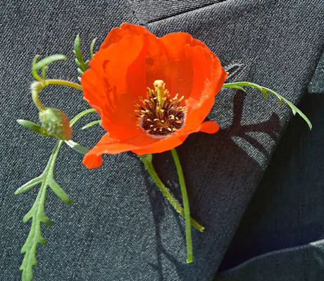 A bright orange poppy flower with visible stamens is pinned to a dark grey fabric, likely part of a suit jacket, with delicate green stems and leaves.