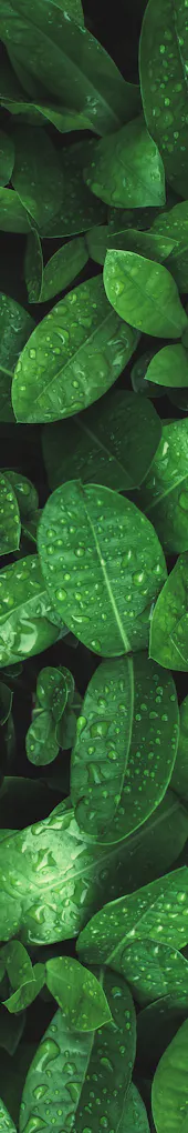 A vibrant bouquet features yellow roses, purple tulips, pink roses, spiky blue thistles, and round yellow flowers, arranged densely together.