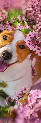 A vibrant bouquet features yellow roses, purple tulips, pink roses, spiky blue thistles, and round yellow flowers, arranged densely together.