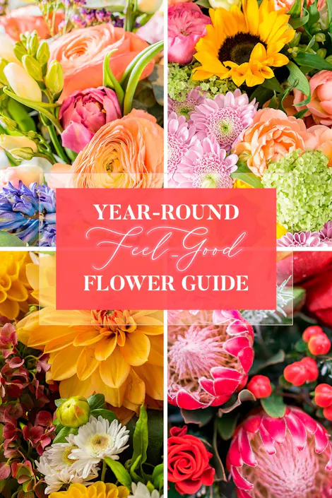 Year-round feel-good flower guide