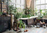 Bright green leaves spill from a wall-mounted planter