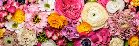 Various colorful flowers are densely arranged, forming a vibrant floral display with hues of pink, yellow, white, and purple. The flowers overlap, filling the entire frame with rich textures and details.