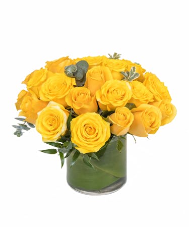 Sunny Yellow Roses
