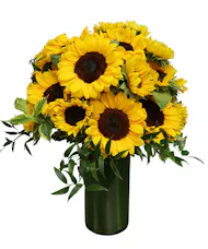 Sunflower Celebration