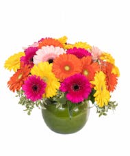 Gerbera Daisy Bowl