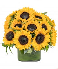 Cube of Sunflowers
