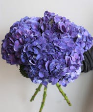 Purple Hydrangea Bunch