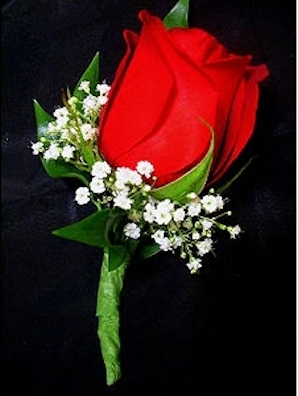 Red Rose Boutonniere in Boston, MA | Central Square Florist