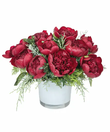Holiday Peonies in Boston, MA