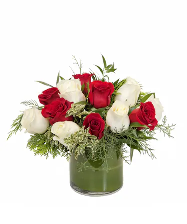 Holiday Red & White Roses in Boston, MA