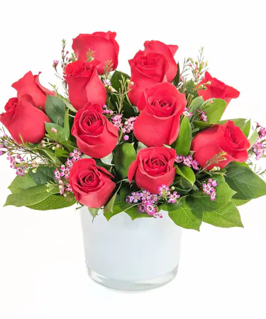 Red Rose Romance in Boston, MA 