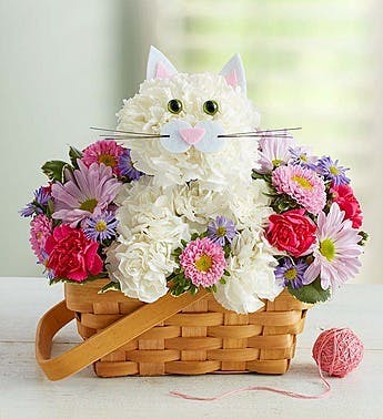 Cat Flower Arrangement in Boston, MA | Central Square Florist