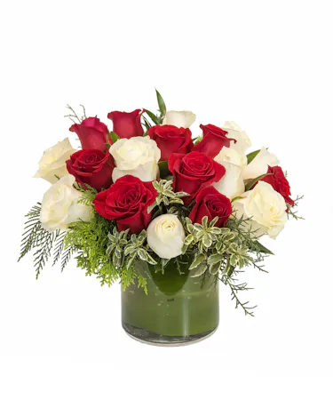 Holiday Red & White Roses in Boston, MA