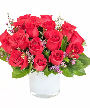 Red Rose Romance in Boston, MA 