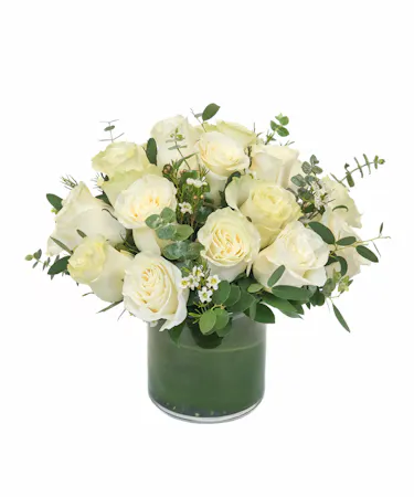 Modern White Roses in Boston, MA