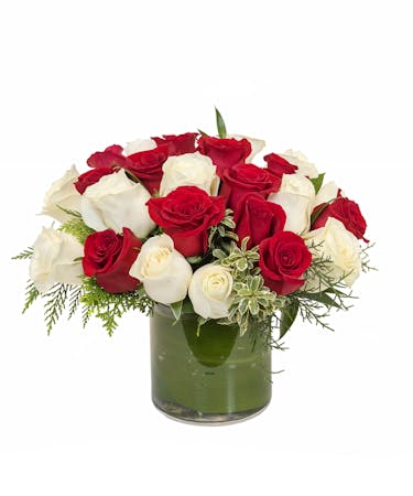 Holiday Red & White Roses
