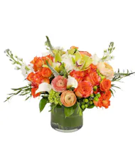 Citrus Autumn