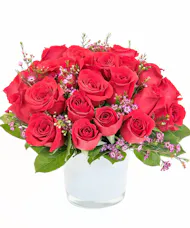 Red Rose Romance