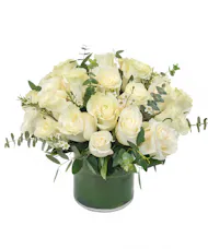 Modern White Roses