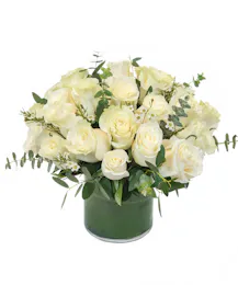 Modern White Roses
