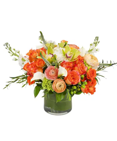  Boston, MA lily, gerbera daisy, rose, tulip