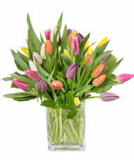 Cube of Mixed Tulips