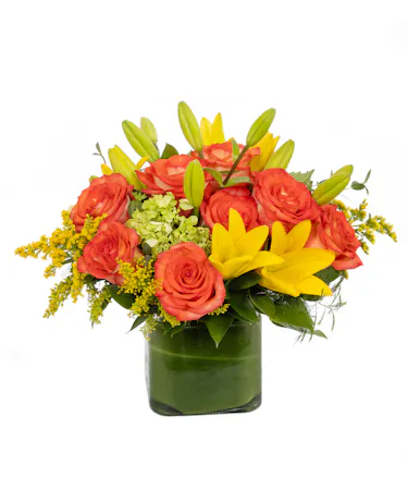 Yellow tulips, orange lilies, orange roses and hydrangea make up this sunny cube. Great for any autumn gathering