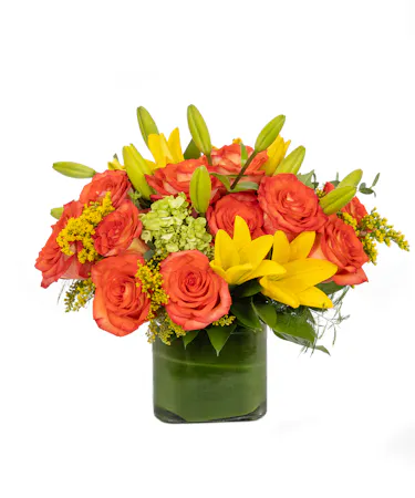 Yellow tulips, orange lilies, orange roses and hydrangea make up this sunny cube. Great for any autumn gathering