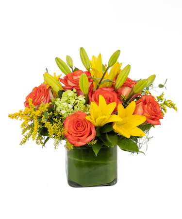 Yellow tulips, orange lilies, orange roses and hydrangea make up this sunny cube. Great for any autumn gathering