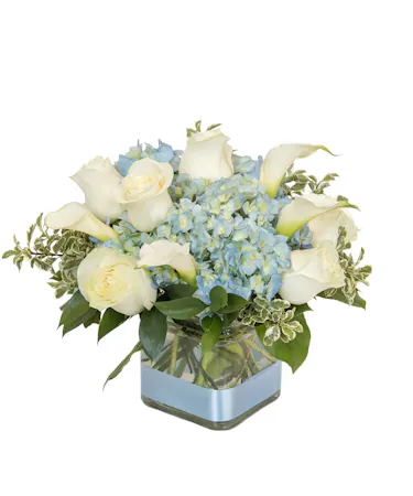 Welcome a special baby boy with this cube arrangement filled with hydrangea, sweet roses and dancing fancy greens. A perfect blue ribbon completes this arrangement!