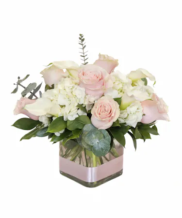 Welcome a special baby girl with this cube arrangement filled with hydrangea, stunning hot pink roses and dancing fancy greens. 