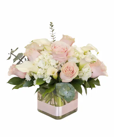 Welcome a special baby girl with this cube arrangement filled with hydrangea, stunning hot pink roses and dancing fancy greens. 