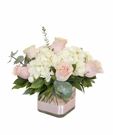 Welcome a special baby girl with this cube arrangement filled with hydrangea, stunning hot pink roses and dancing fancy greens. 
