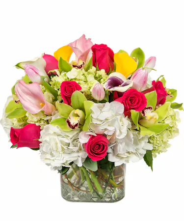 Breath of Spring Floral Bouquet in Boston, MA - Central Square Florist