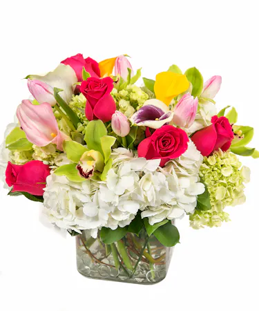 Breath of Spring Floral Bouquet in Boston, MA - Central Square Florist