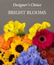 Bright Blooms-Designer's Choice