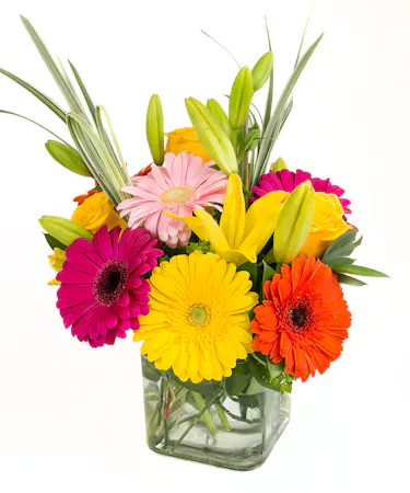 lily, gerbera daisy, rose, tulip - Boston, MA Florist by Central Square