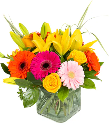 Bright & Stunning