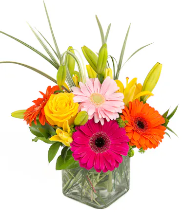 lily, gerbera daisy, rose, tulip - Boston, MA Florist by Central Square