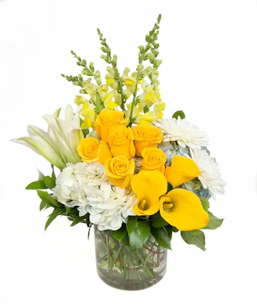 Bundle of Sunshine in Boston, MA 