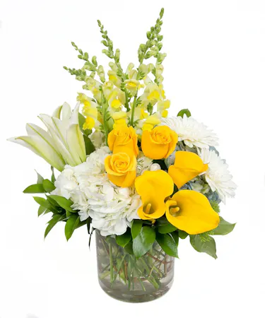 Bundle of Sunshine in Boston, MA 