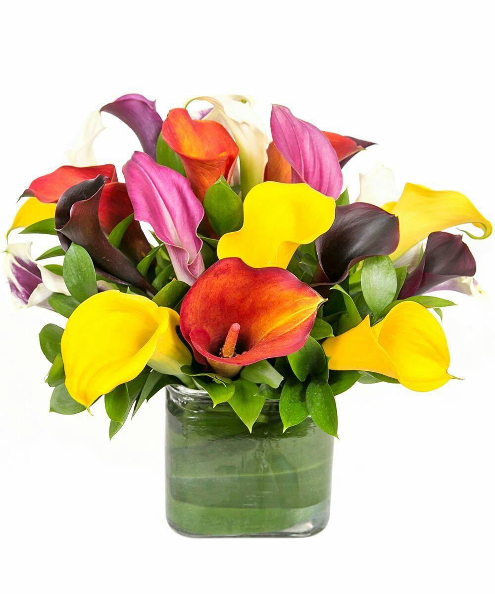 Calla Lily Vase In Boston Ma Central Square Florist