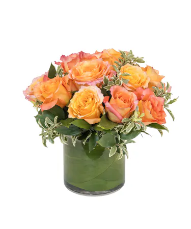 Free Spirit Rose Cylinder in Boston, MA